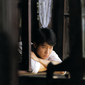 日韩成熟少妇大BB爽的视频
