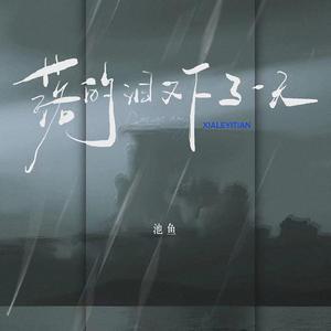 日韩成熟少妇大BB爽的视频
